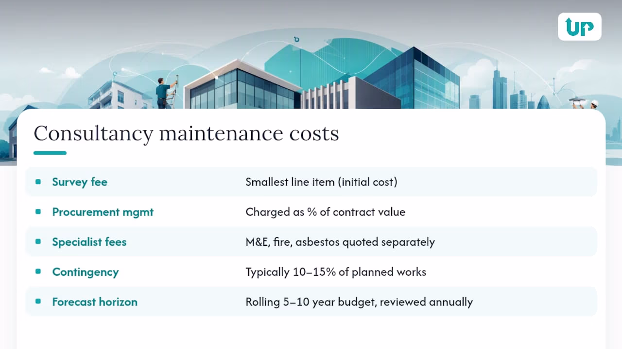 What does consultancy maintenance really cost over time? — overview diagram